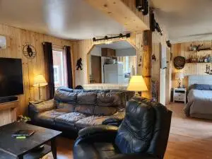 15 Wild Turkey Dr, Republic, WA 99166 - #3