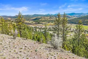 TBD Klondike Rd, Republic, WA 99166 - #2