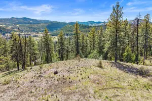 TBD Klondike Rd, Republic, WA 99166 - #3