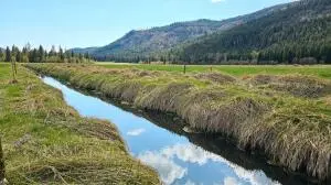 36XX Deep Lake Boundary Rd, Colville, WA 99114 - #1