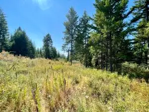 2599 Scott Rd, Rice, WA 99167 - #3