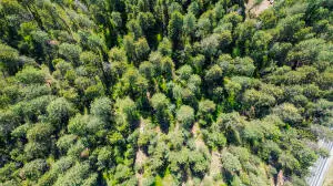 1879 Washington 25, Kettle Falls, WA 99141 - #2