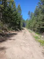 24X Bardwell Rd, Curlew, WA 99118 - #2