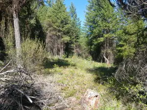 24X Bardwell Rd, Curlew, WA 99118 - #3