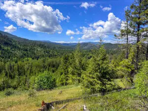 3499_TBD Waitts Lake South Rd, Valley, WA 99181 - #2