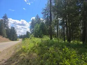 35XX Northport Flat Creek Rd, Colville, WA 99114 - #1