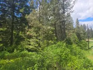 35XX Northport Flat Creek Rd, Colville, WA 99114 - #2