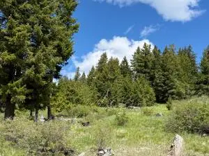 TBD Toroda Creek Rd, WAUCONDA, WA 98859
