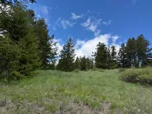TBD Toroda Creek Rd, Wauconda, WA 98859 - #2