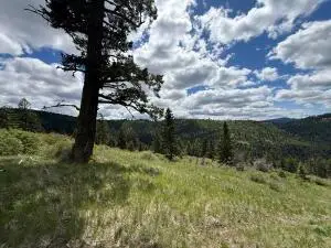 TBD Toroda Creek Rd, Wauconda, WA 98859 - #3
