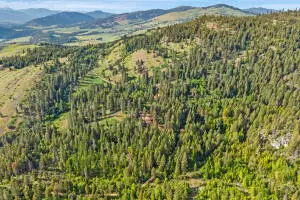 2584D Bridgeman-rettinger Rd, Kettle Falls, WA 99141 - #2