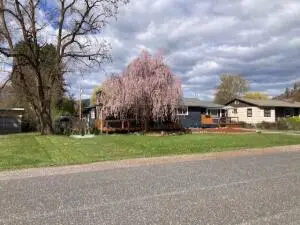750 S Larch St, Kettle Falls, WA 99141 - #2