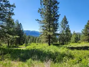 TBD Gold Mountain Rd, REPUBLIC, WA 99166