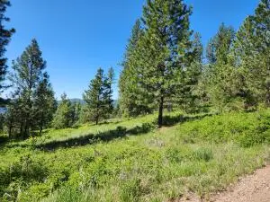 TBD Gold Mountain Rd, Republic, WA 99166 - #2