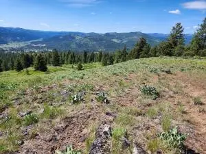 TBD Knob Hill East Rd, Republic, WA 99166 - #3