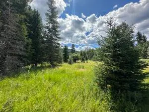 3331 Deep Lake Boundary Rd, Colville, WA 99114 - #2