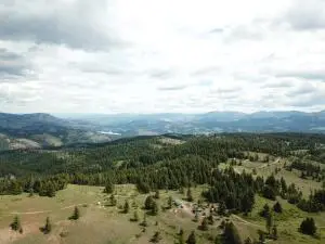 19 Union Ridge Spur Rd, Republic, WA 99166 - #2