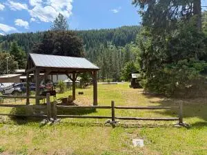 1221 Minter Ave, Marcus, WA 99151 - #2