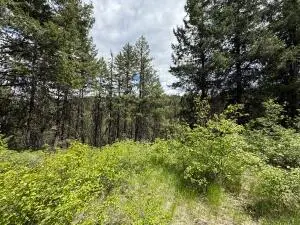 TBD Slippery Hill Rd, REPUBLIC, WA 99166