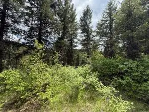 TBD Slippery Hill Rd, Republic, WA 99166 - #2
