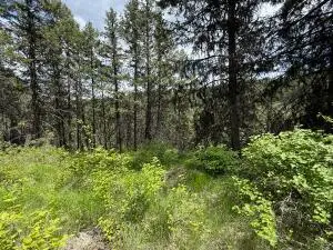 TBD Slippery Hill Rd, Republic, WA 99166 - #3