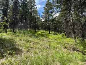 TBD E Knob Hill Rd, REPUBLIC, WA 99166