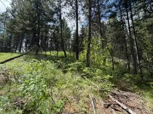 TBD E Knob Hill Rd, Republic, WA 99166 - #2