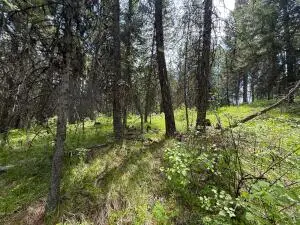 TBD E Knob Hill Rd, Republic, WA 99166 - #3