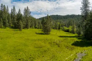1763-I U.s. 395, CHEWELAH, WA 99109