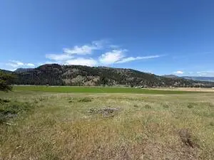 TBD Art Creek Rd, Malo, WA 99150 - #1