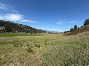 TBD Art Creek Rd, Malo, WA 99150 - #2