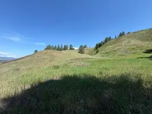 TBD Art Creek Rd, Malo, WA 99150 - #3