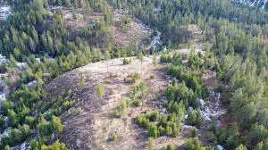 35XX Harms Way, Valley, WA 99181 - #3