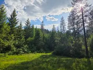3XX Buscher Way, COLVILLE, WA 99114