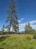3XX Buscher Way, Colville, WA 99114 - #2