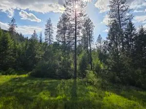 3XX Buscher Way, Colville, WA 99114 - #3