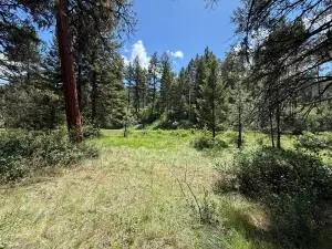 21 Pine Grove St, Republic, WA 99166 - #1