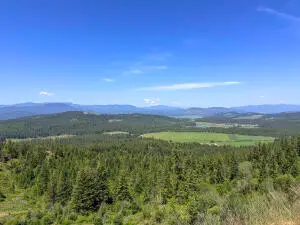 352X Greene Rd, Valley, WA 99181 - #1