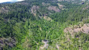 2008 Summit Valley Rd, Addy, WA 99101 - #2