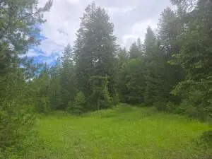 XXX Clugston-onion Creek Rd, COLVILLE, WA 99114