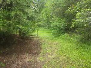 XXX Clugston-onion Creek Rd, Colville, WA 99114 - #2