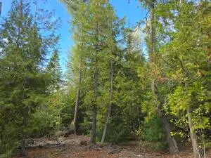 XXX Clugston-onion Creek Rd, Colville, WA 99114 - #3