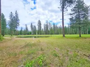 4XX LOT 9 Couples Ct, Chewelah, WA 99109 - #1