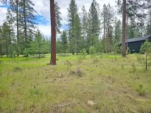4XX LOT 9 Couples Ct, Chewelah, WA 99109 - #3