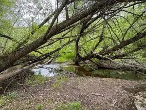 1742 Toroda Creek Rd, Wauconda, WA 98859 - #3