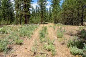 2300 Eagle River Way, Kettle Falls, WA 99141 - #2