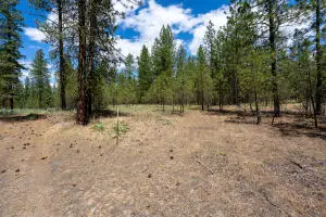 2300 Eagle River Way, Kettle Falls, WA 99141 - #3