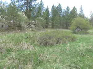 1011 Westover Rd, Colville, WA 99114 - #3