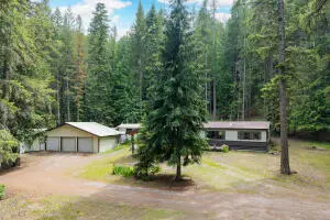 1783 Dearinger Rd, Addy, WA 99101 - #1