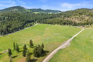 311X Old Baldy Rd, RICE, WA 99167